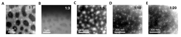 고분자 반도체-탄성체 컴포짓 비율에 따른 Transmission electron microscopy (TEM) TEM 이미지