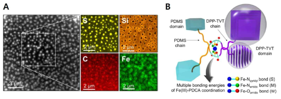 (A) Transmission electron microscopy (TEM) 이미지 및 이미지 내의 성분 분석 (S:sulfur, Si:silicon, C:carbon, and Fe: iron)