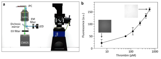 (a) 소형 형광현미경 사진 (b) 형광 신호와 상응하는 트롬빈 농도의 상관 관계