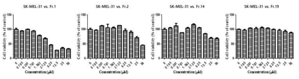분획물들의 SK-MEL-31 세포에 대한 세포독성 결과