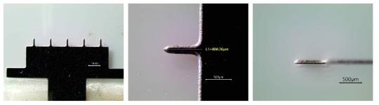 제작한 금속 마이크로니들의 모습