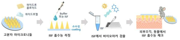 바이오마커 검출을 위한 고분자 마이크로니들 어레이 개발 모식도