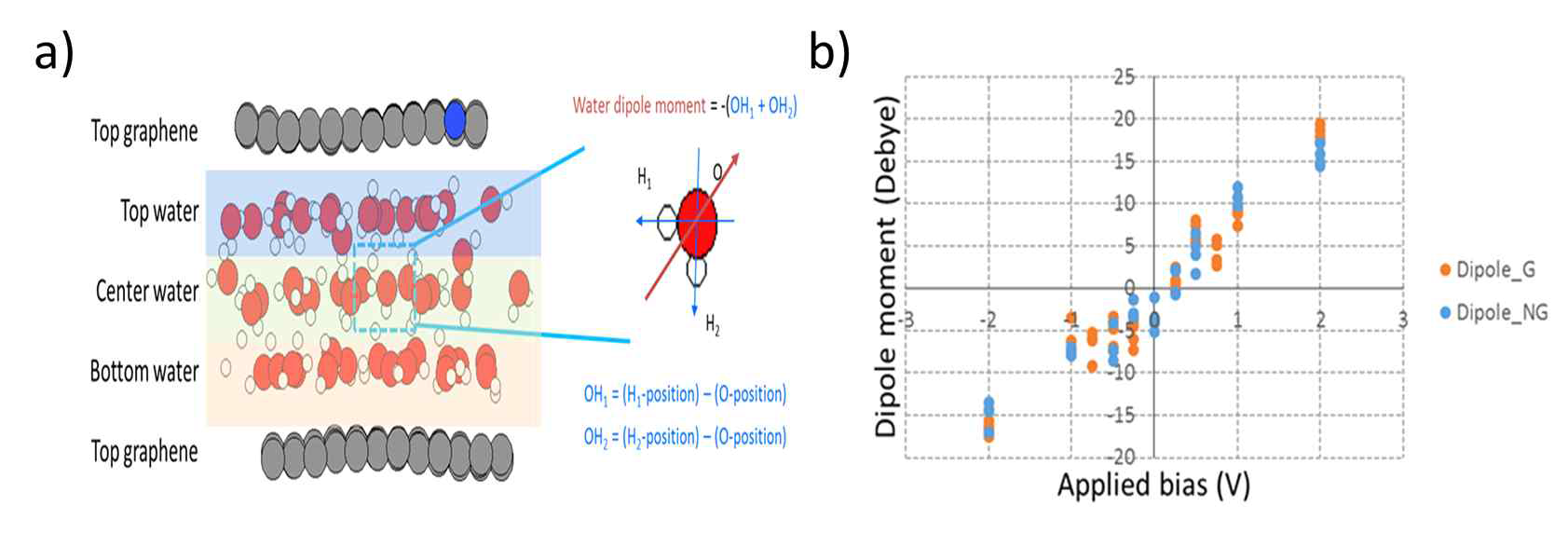(a) 그래핀 두층으로 이루어진 나노채널과 물층으로 이루어진 모델 구조. (b) 분자 동역학 시뮬레이션을 통해 통계적으로 도출한, 전압에 따른 물층의 쌍극자 모먼트 (파란색: 질소 도핑된 그래핀 전극)