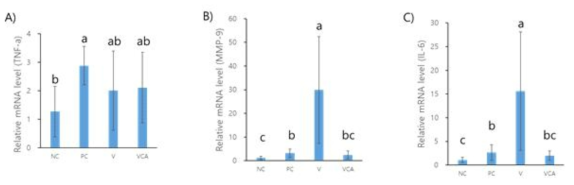 Configuration of inflammatory mediators from rat gingival tissue after 14-days ligation A) TNF-a, B) MMP-9, C) IL-6. Different letter indicate significant differences from Mann-Whitney. NC: negative control, PC: positive control, V: varnish, VCA: Vanish with CA