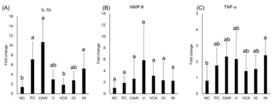 Configuration of inflammatory mediators from rat gingival tissue after 14-days ligation A) IL-1b, B) MMP-9, C) TNF-a. Different letter indicate significant differences from Mann-Whitney. NC: negative control, PC: positive control, CAW: Colocasia antiquorum extract in Water V: varnish, VCA: Vanish with CA extract, IG: Igatan, IN: Insadol