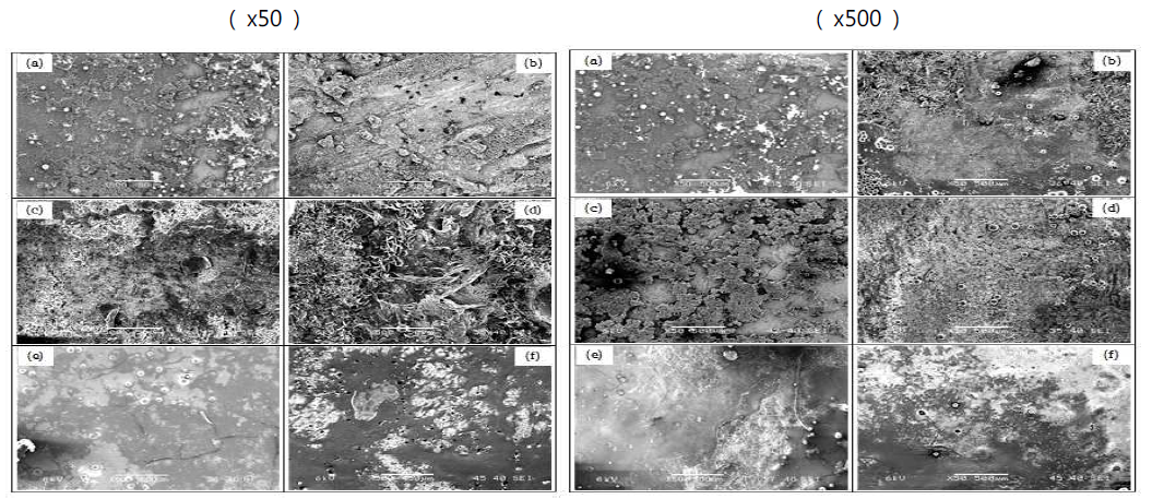 Scanning electron micrographic images in comparison of experimental and commercial fluoride varnish groups