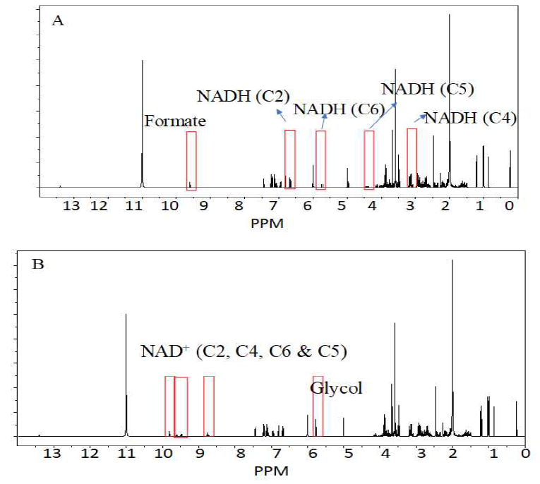 1H-NMR spectrum for enzyme catalyzed reaction intermediates. An expected 1H NMR peaks for both starting complex and an intermediate complex is given as Fig. A and B, respectively. (A) The signal at 9.5 ppm (1H) for formate, 6.6 ppm (C2, 1H), 3.2 ppm (C4, 2H), 4.4 ppm (C5, 1H), 5.6 ppm (C6, 1H) for NADH and rest of the peaks corresponding to amino acids. (B) The signal at 5.8 ppm (2H) for methylene glycol, 9.8 ppm (C2, 1H), 9.6 ppm (C4, 1H), 8.7 ppm (C5, 1H), 9.5 ppm (C6, 1H) for NADH and rest of the peaks corresponding to amino acids which are surrounding the central metal atoms