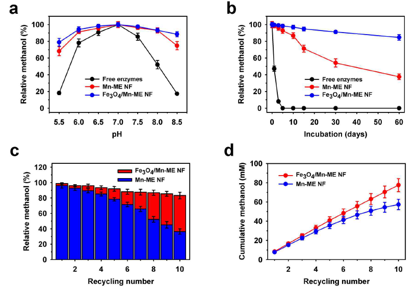 Conversion of CO2 to methanol by free enzymes, multi-enzymes nanoflowers (Mn-ME) and magnetic nanoflowers (Fe3O4/Mn-ME) hybrid system: (a) pH stability profile, (b), storage stability (at 4 ⁰C), (c) reusability, and (d) cumulative production. Methanol production reaction was carried in 100 mM of buffers (phosphate-citrate: pH, 5.5; phosphate: pH, 6.0-8.0; and Tris-glycine NaOH: pH, 8.5) at 30 oC for incubation of 8 h with ClFDH (2.5 U mL-1), BmFaldDH (2.5 U mL-1), YADH (20 U mL-1), and PTDH (3.0 mg mL-1) or 6.8 mg mL-1 of Mn-ME or 9.4 mg of Fe3O4/Mn-ME hybrid nanoflowers with NaHCO3 (100 mM) and NADH (1.5 mM). For storage stability and reusability under repeated batch conditions, the reaction was carried out in phosphate buffer (pH 7.0) for the incubation of 8 and 4 h, respectively