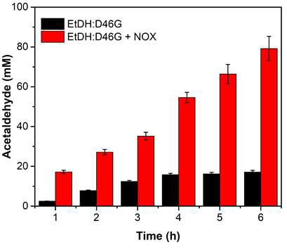 Time-course of acetaldehyde conversion from 100 mM ethanol with EtDH:D46G and EtDH:D46G + NOX. Results are the means ± SD of three parallel replicates