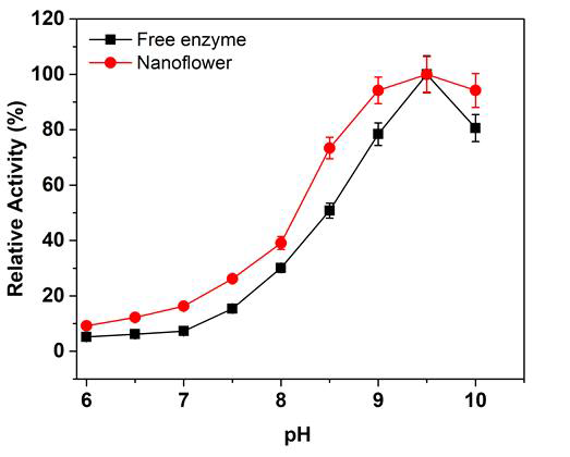 pH stability of free and EtDH:D46G-Cu(PO4)2·3H2O hybrid. The pH stability of free and EtDH:D46G-Cu(PO4)2·3H2O hybrid was assayed from pH 6.0 - 10.0. The activities of EtDH and its variant were determined in a reaction mixture containing 100 mM buffer (pH 6.0 – 10.0), 5 mM Mg2+, 3 mM NAD+ and 10 mM ethanol at 25°C. The activity was defined by the reduction rate of NAD+ at 340 nm using a spectrophotometer. One unit of EtDH activity was defined as the amount of enzyme required to reduce 1 μmol of NAD+