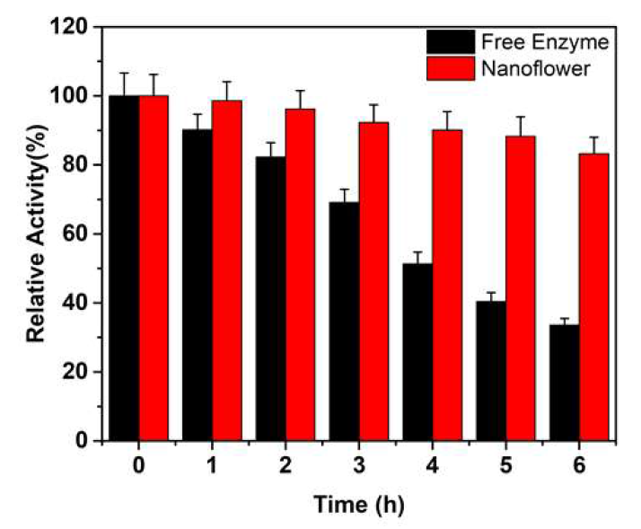 Thermostability of free and EtDH:D46G- Cu(PO4)2·3H2O hybrid at 45°C. The enzyme thermostability of free and EtDH:D46G-Cu(PO4)2·3H2O hybrid was assayed at 45°C. The activities of EtDH and its variant were determined in a reaction mixture containing 100 mM buffer (pH 9.5), 5 mM Mg2+, 3 mM NAD+ and 10 mM ethanol at 45°C. The activity was defined by the reduction rate of NAD+ at 340 nm using a spectrophotometer. One unit of EtDH activity was defined as the amount of enzyme required to reduce 1 μmol of NAD+ per minute