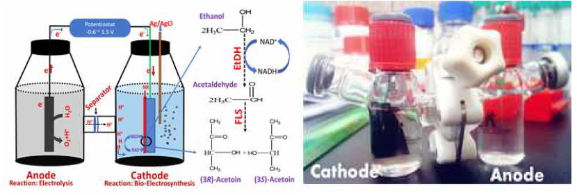 Schematic representation (A) of the bioelectrochemical synthesis (BES) of acetoin. Pictorial representation (B) of BES system