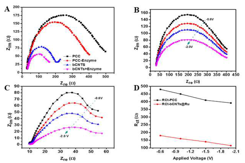 The influence of applied voltage on charge transfer and exchange current density