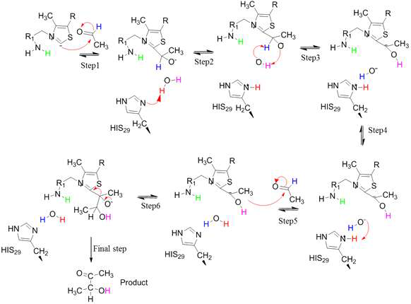 Reaction mechanism of FLS via water-mediated pathway