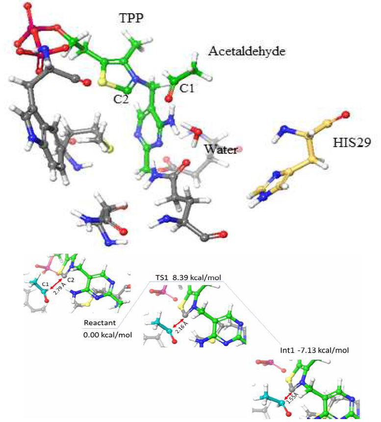 Active site model cofactor, TPP (green stick), Acetaldehyde (green stick), catalytic residue, HIS29(orange stick). Other active site residues (grey stick). Potential energy surface scan for step 1