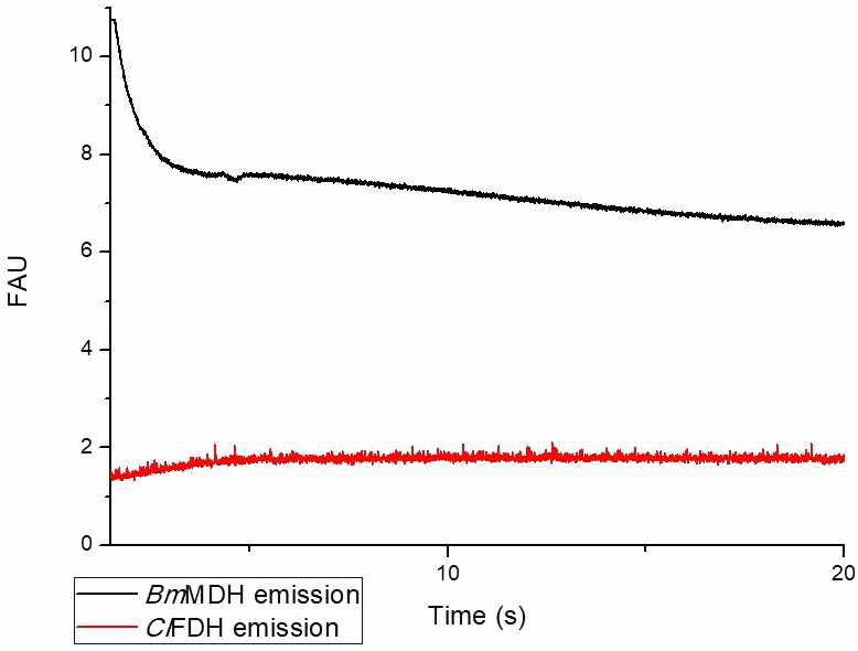 Time dependence of fluorescence intensity. Black line: BmMDH (λex: 410 nm, λem: 423–475 nm). Red line: ClFDH-BmFaldDH-BmMDH (λex: 410 nm, λem: 558–586 nm). The fluorescence intensity of BmMDH was measured using a 452 nm band-pass filter, and that of ClFDH was measured by using a 573 nm band-pass filter. Fluorescence intensities are shown as fluorescence arbitrary units (FAU)