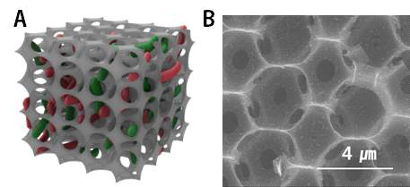 Cage형 다공성 전극: (A) 나노 다공성 전극을 이용한 전기생합성 모식도 (B) 나노 다공성 전극 내부
