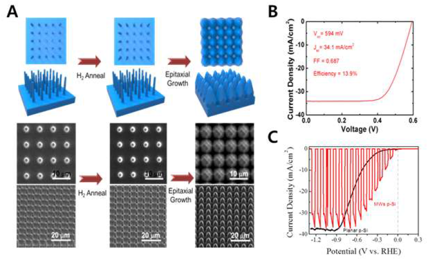 나노전극 이용 H2 생산 성능 평가. (A) 2단계 연구를 통해 구축한 우수한 마이크로콘 태양전지, (B) 이를 바탕으로 태양광 선능 및 (C) 대양광 수소생산능 측정
