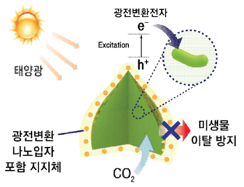 One-site 통합 모듈 개념도