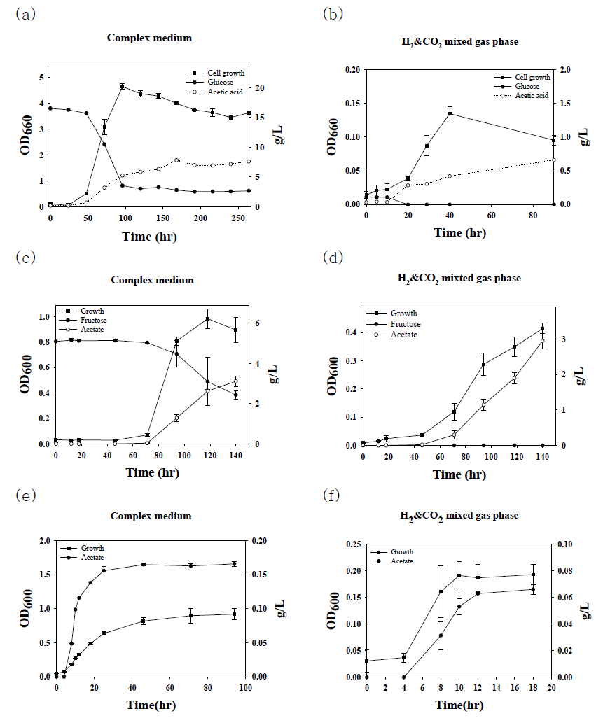 미생물전기합성을 위한 acetogen 전배양. (a, b) M. thermoacetica, (c, d) S. ovata 및 (e, f) C. ljungdahlii