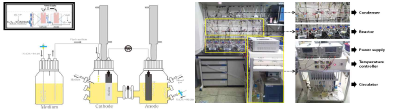 미생물 전기생합성 시스템 모식도 및 실제 구축