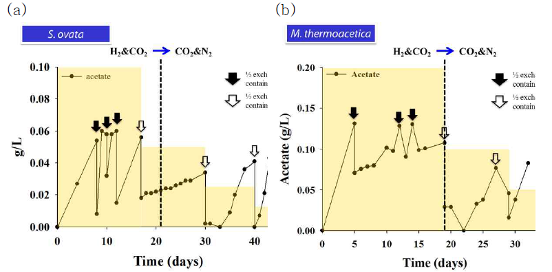 (a) S. ovata와 (b) M. thermoacetica를 이용한 미생물전기 생합성 결과