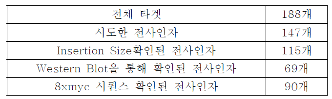 전사인자 myc-tagging 라이브러리 구축 현황