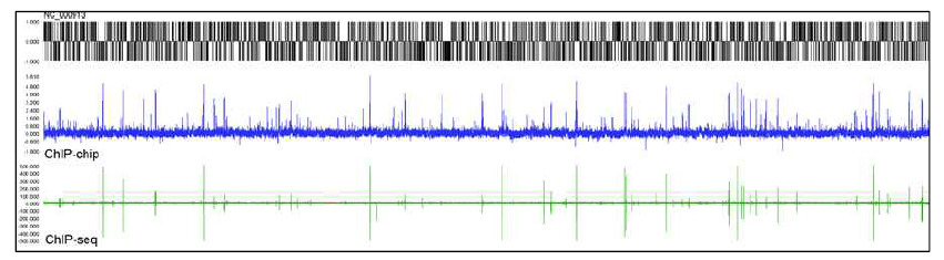ChIP-seq을 통한 전체 게놈상 Lrp 결합 프로파일 및 기존 ChIP-chip 결과와의 비교
