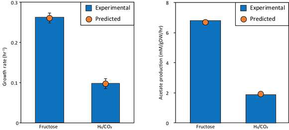 구축한 모델과 실제 실험 결과 (성장속도 및 아세트산 생산 속도) 값 비교