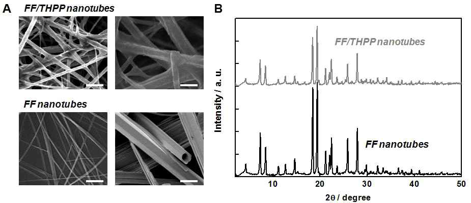 THPP의 존재 유무에 따른 FF 나노튜브의 a) SEM 사진과 b) XRD 회절 패턴