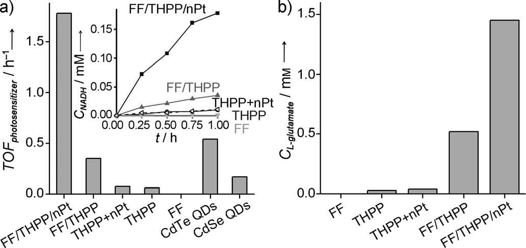 a) FF 나노튜브, THPP 단분자, THPP/nPt, FF/THPP 나노튜브, FF/THPP/nPt 나노튜브와 다른 무기 감광물질의 turnover frequency 비교. a)안의 작은 그래프는 FF 나노튜브, THPP 단분자, THPP/nPt, FF/THPP 나노튜브, nPt 코팅된 FF/THPP 나노튜브가 있을 때의 시간에 따른 NADH 농도변화를 나타낸다. b) FF 나노튜브, THPP 단분자, THPP/nPt, FF/THPP 나노튜브, nPt 코팅된 FF/THPP 나노튜브가 있을 때 GDH에 의한 합성된 L-glutamate의 농도