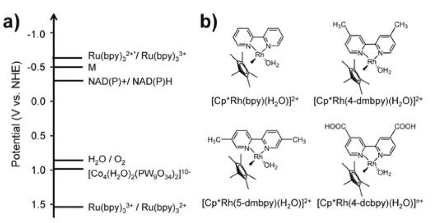 a) Co4POM, Ru(bpy)32+ 및 Rh complex (M)의 redox potential. b) 다양한 작용기 (bpy, 4-dmbpy, 5-dmbpy, or 4-dcbpy)를 가진 Rh complex (M)의 화학구조