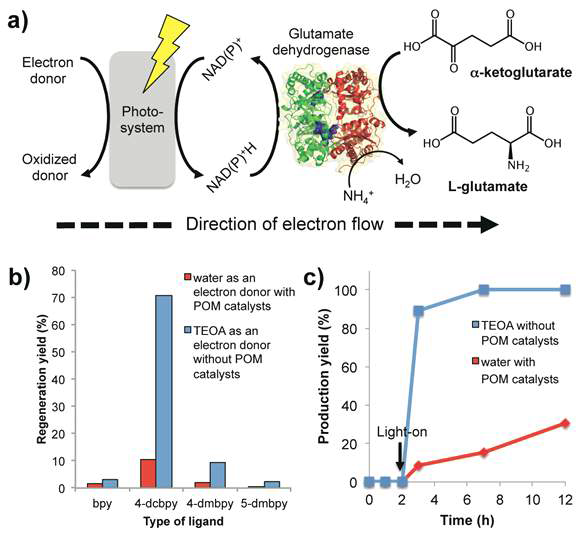 a) Photoenzymatic reaction system의 모식도. Electron donor의 종류에 따른 b) NADH 재생 효율 및 c) L-glutamate 생성 효율 비교