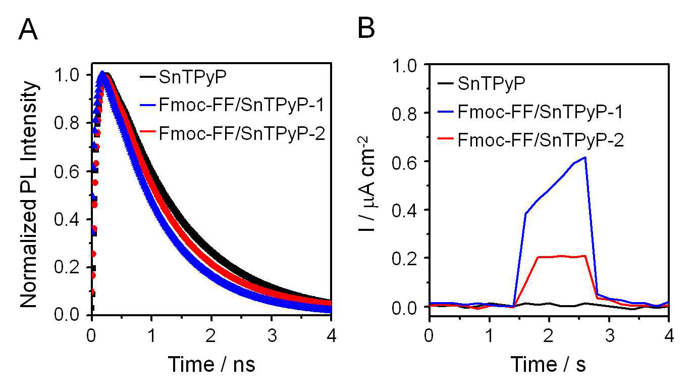 SnTPyP, Fmoc-FF/SnTPyP-1, 그리고 Fmoc-FF/SnTPyP-2의 (A) 405 nm에서 여기된 형광 감소 프로파일과 (B) 광전류 측정