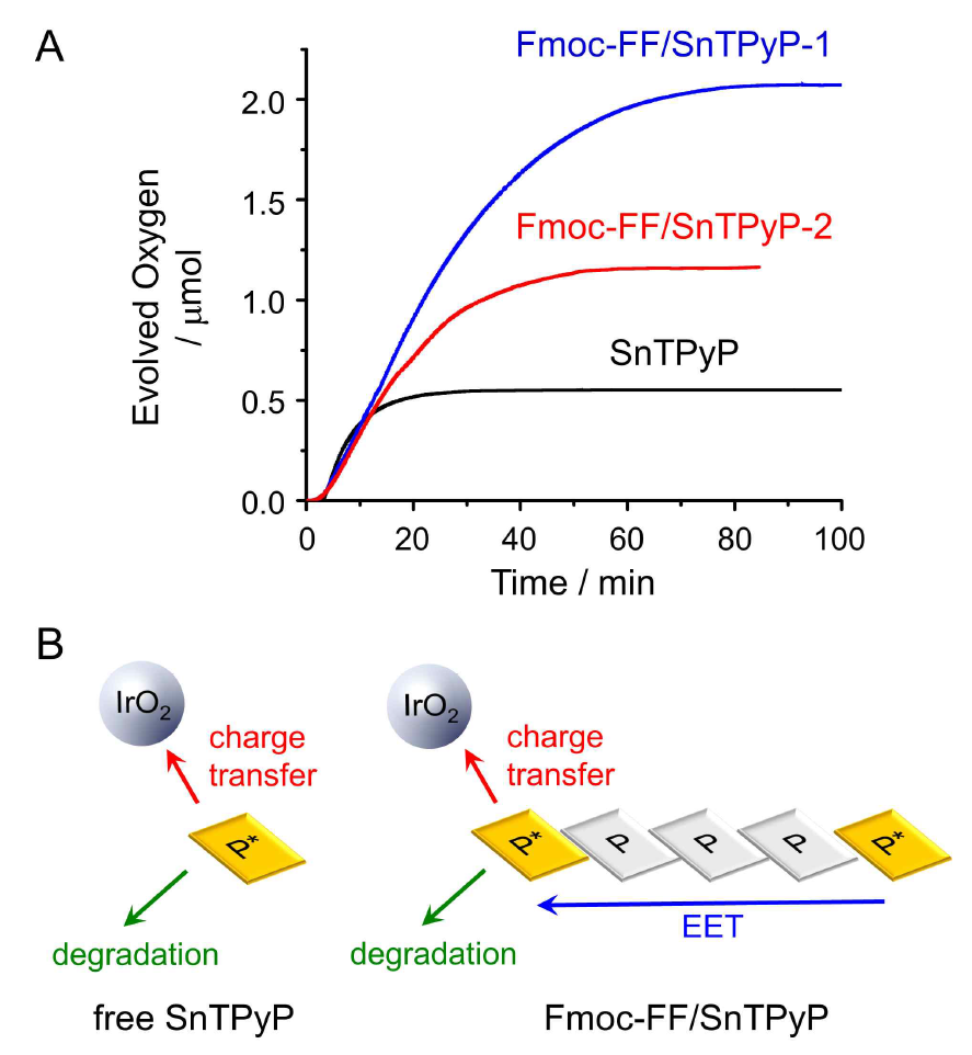 (A) 시간에 따른 SnTPyP, Fmoc-FF/SnTPyP-1, Fmoc-FF/SnTPyP-2에 의한 산소 발생 분석 결과, (B) excitation energy transfer (EET)가 porphyrin의 stability에 미치는 영향에 대한 모식도