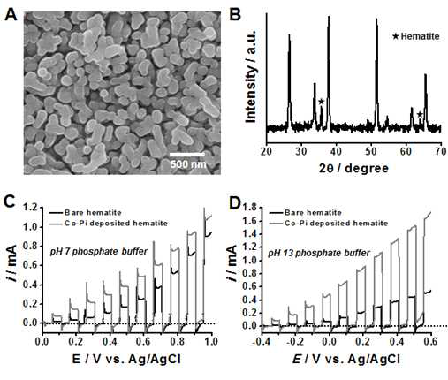 (A) Hematite의 SEM image, (B) Hematite의 XRD 데이터, (C), (D) Hematite 전극의 광특성 분석