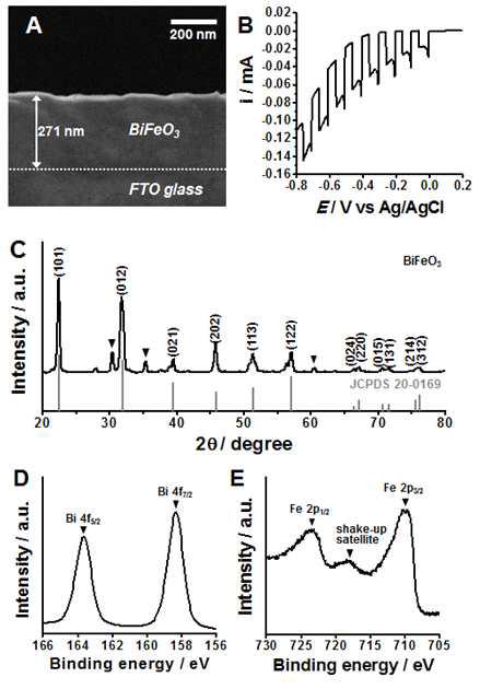 (A) ITO위에 증착된 BiFeO3의 SEM image, (B) BiFeO3의 광반응, (C) BiFeO3의 XRD 데이터 (D), (E) BiFeO3의 XPS 데이터