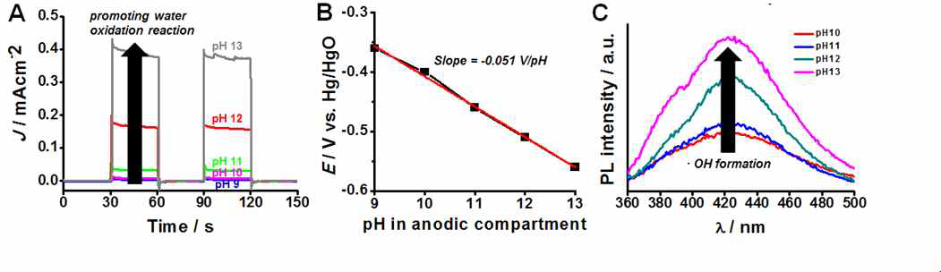 (A) Hematite photoanode의 pH 변화에 따른 광전류 변화, (B) hematite 가전자대 준위의 pH 변화 의존도 (C) pH에 따른 Hematite 용액의 2-hydroxyterephthalic acid 광루미네선스