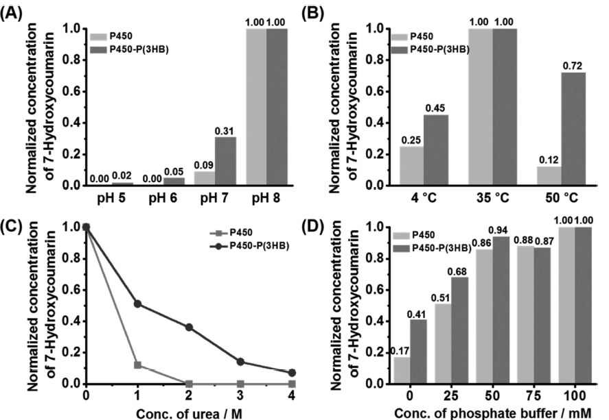 (A) pH, (B) 온도, (C) urea 농도, (D) 버퍼 이온 농도 차이에 따른 P450-P(3HB)및 P450의 activity 차이