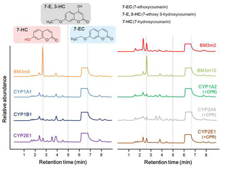 다양한 P450에서 7-EC이 기질일 때 촉매반응의 생산물 HPLC분석