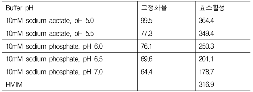 고정화 효소 제조 반응에 사용되는 buffer의 pH에 따른 고정화 효소의 고정화율 및 효소 활성