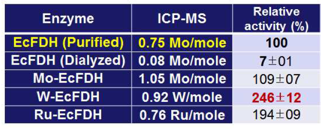 메탈 치환에 따른 FDH의 효소 활성 변화