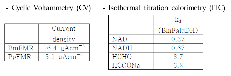 CV and ITC analysis for BmFaldDH