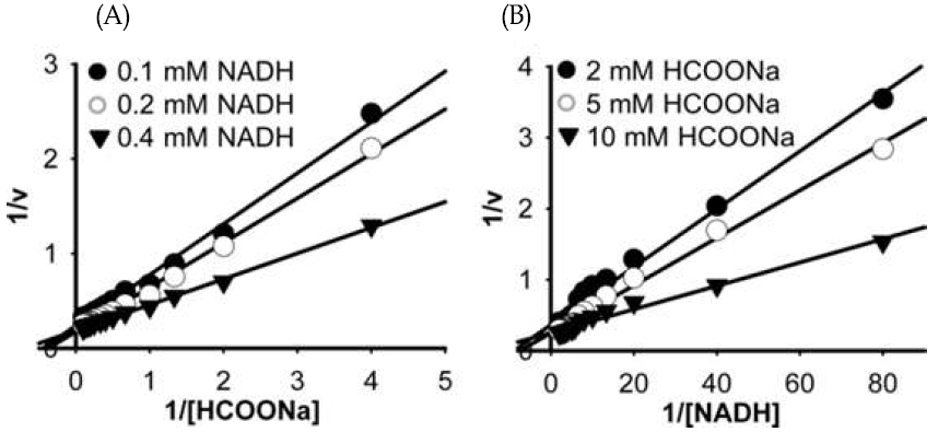 Steady state activity of BmFaldDH at different substrate concentrations. (A) HCOONa concentration was varied (x-axis) at saturating (fixed-variable) concentrations of NADH. (B) NADH concentration was varied (x-axis) at saturating (fixed-variable) concentrations of HCOONa