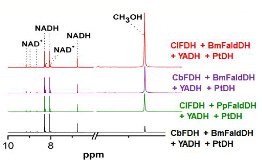 Representative 1H NMR spectra of the reaction mixture catalyzed by cascade reaction after 6h of CO2 reduction into methanol