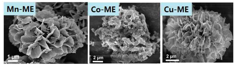 FE-SEM images of multi-enzymes (CcFDH, PcFaldDH, YADH and PTDH) based metal-protein hybrid system