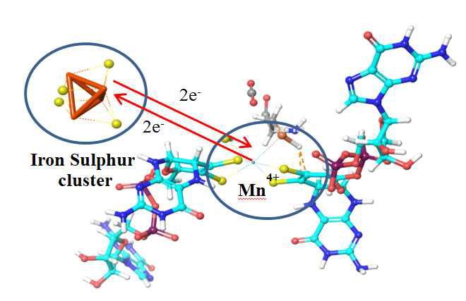 Illustration of electron transfer from iron sulphur cluster for the reduction of CO2 to HCOO-