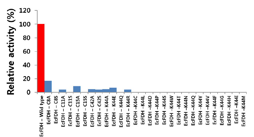 Relative activity of FDH wild type and mutants