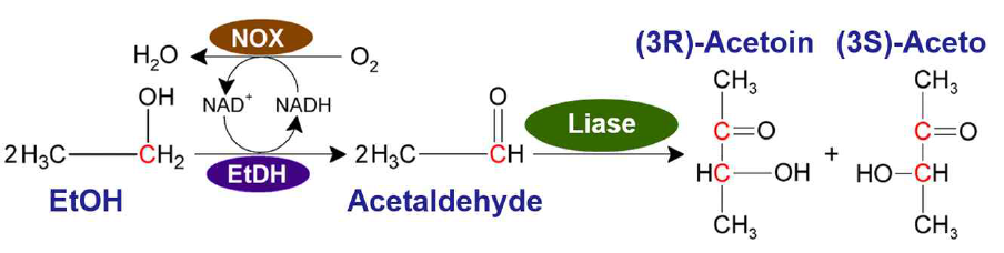 Artificial reaction cascade: Acetoin production from ethanol