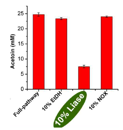 Rate-limiting in conversion of ethanol to acetoin. Liase was found as a rate-limiting enzyme